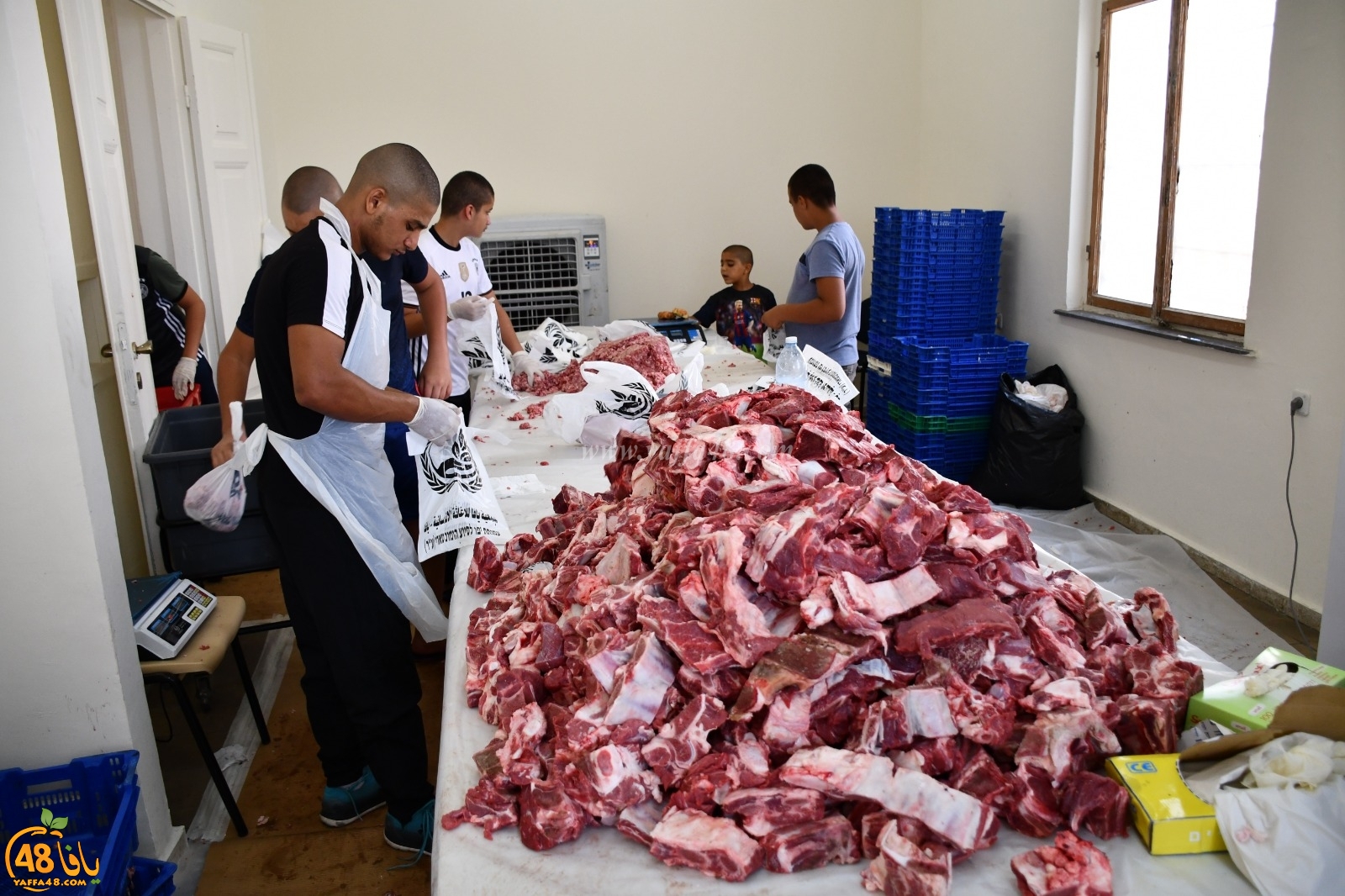 Adada7aeeqj (4).jpg.jpg.jpg